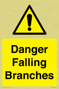 Danger Falling Branches